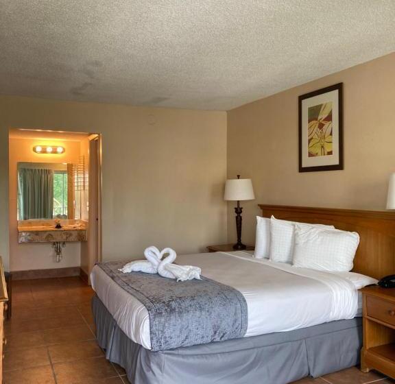 Quarto Estandar Cama King, Altamonte Springs Hotel And Suites