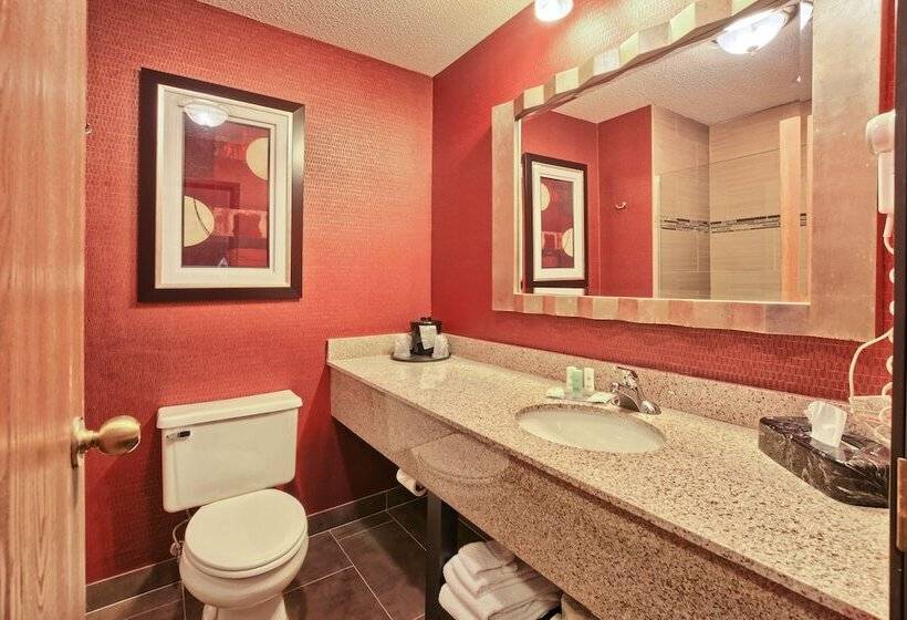 스위트 킹사이즈 침대, Comfort Inn & Suites And Conference Center