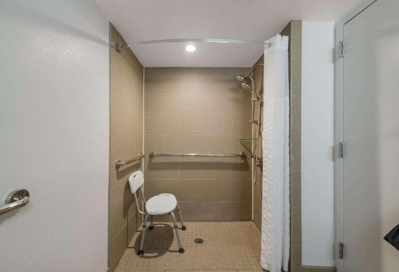 Номер Стандарт Кровать Кинг Адаптированный для Инвалидов, Comfort Inn Newport News  Hampton I64