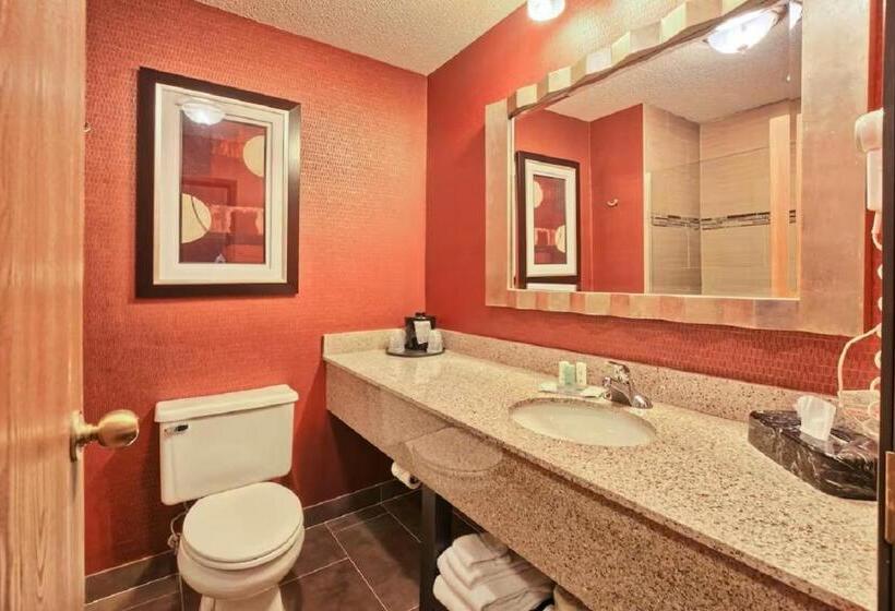 Стандартный Номер Кровать Кинг, Comfort Inn & Suites And Conference Center