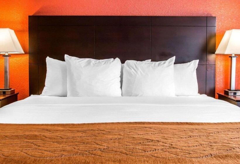 Люкс Кровать Кинг, Comfort Inn & Suites And Conference Center