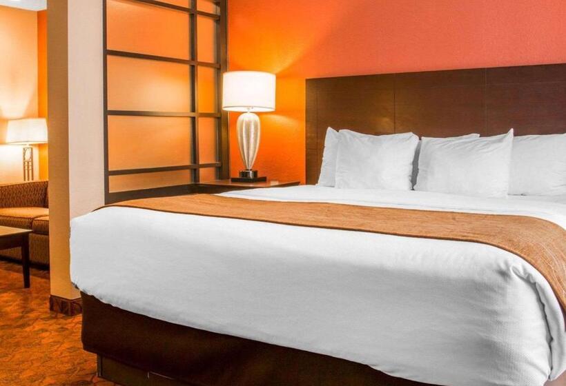 מיטת קינג בסוויטה, Comfort Inn & Suites And Conference Center
