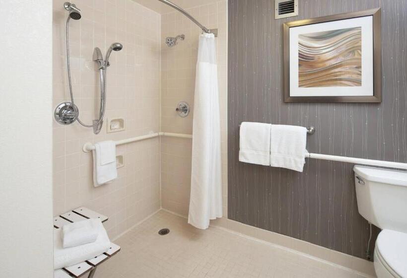 Standaardkamer met 2 Tweepersoonsbedden, Courtyard Chicago Wood Dale/itasca