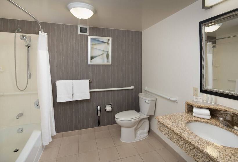 Standaardkamer met 2 Tweepersoonsbedden, Courtyard Chicago Wood Dale/itasca