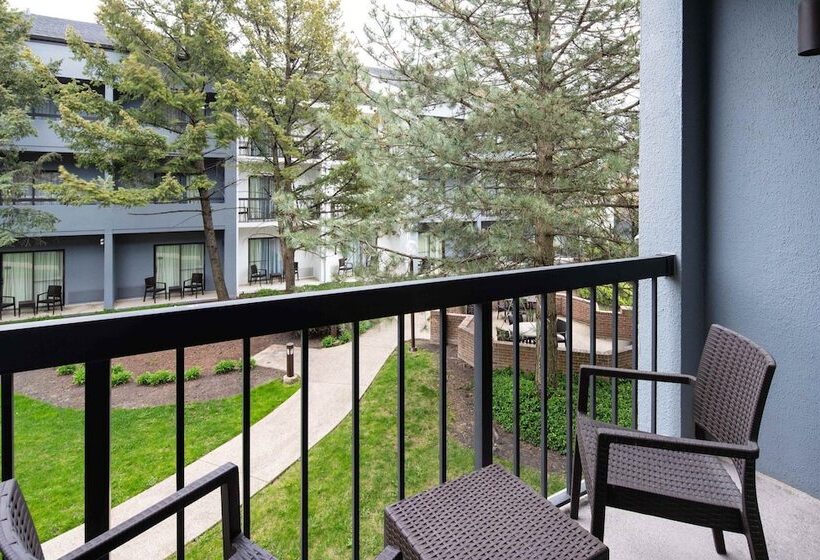 Standaardkamer met 2 Tweepersoonsbedden, Courtyard Chicago Wood Dale/itasca