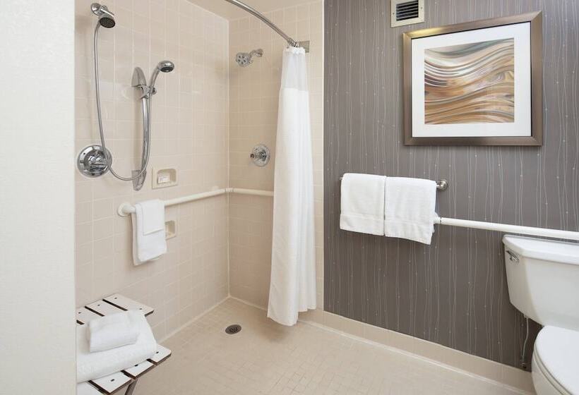 Suite met Balkon, Courtyard Chicago Wood Dale/itasca