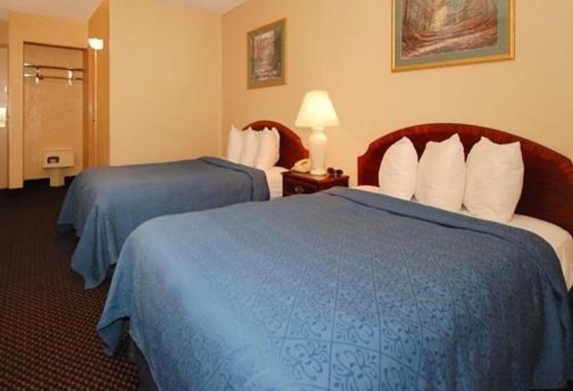 Люкс, Econo Lodge Inn & Suites