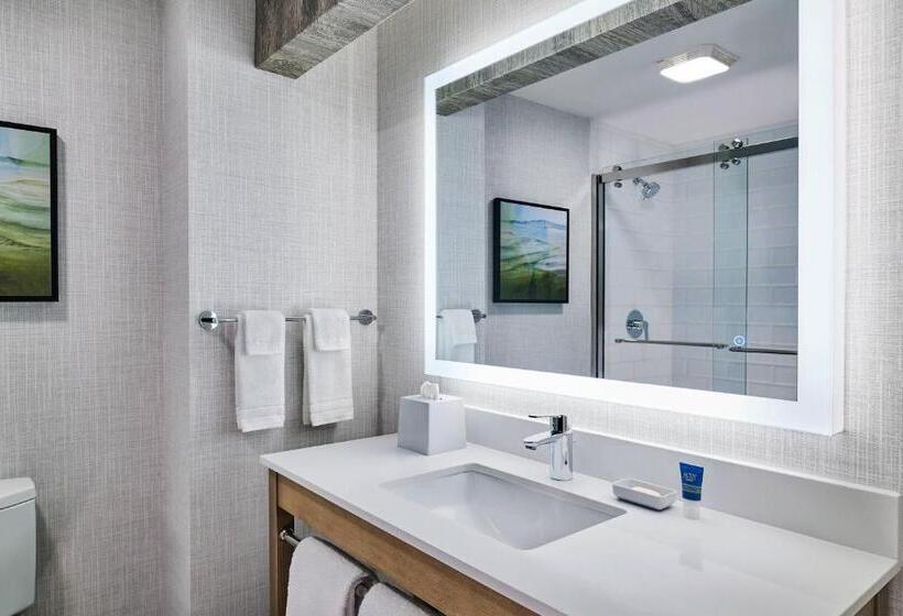 Стандартный Номер Кровать Кинг, Four Points Marriott Salt Lake City Airport