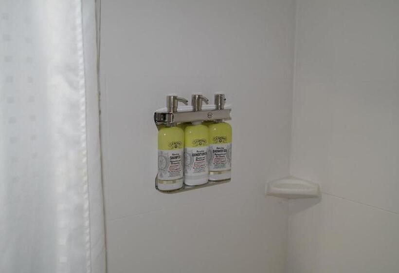 장애인을 위한 킹사이즈 침대 스탠다드 룸, Holiday Inn Express Fredericksburg   Southpoint, An Ihg