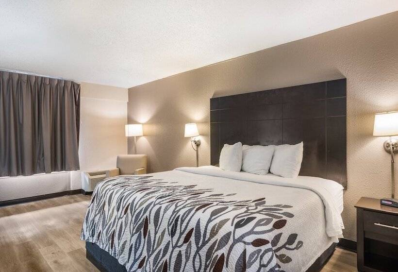 디럭스 룸, Red Roof Inn Savannah  Southside/midtown