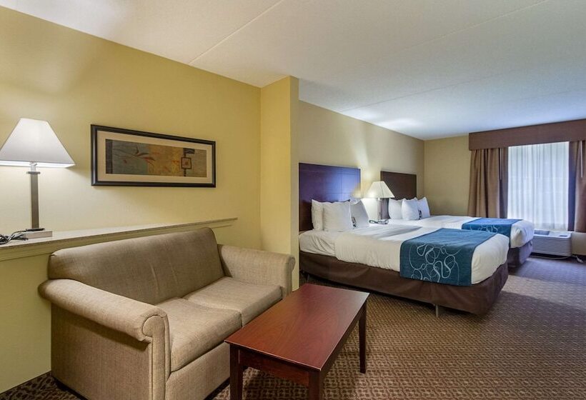 适合残疾人士使用的套间, Comfort Suites Near Gettysburg Battlefield Visitor Center
