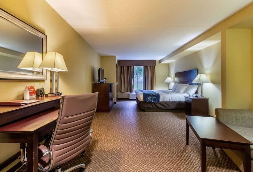Люкс Адаптированный для Инвалидов, Comfort Suites Near Gettysburg Battlefield Visitor Center