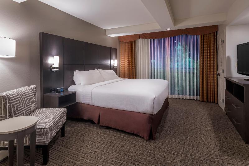 スイート, Holiday Inn And Suites Phoenix Airport North, An Ihg