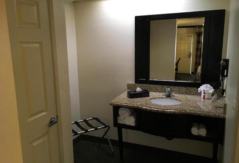 اتاق استاندارد با تخت بزرگ, Ramada By Wyndham Ontario