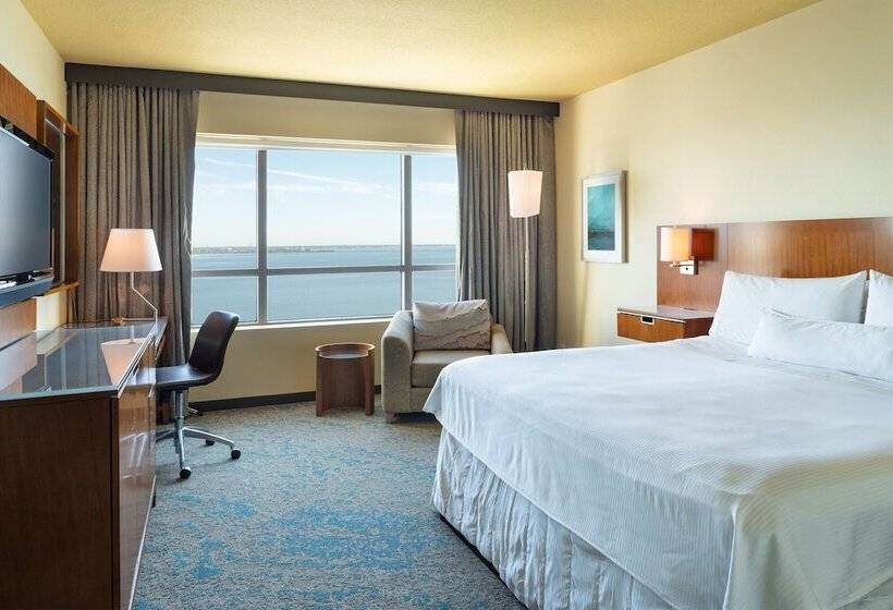 클래식 룸 더블 침대, The Westin Tampa Bay