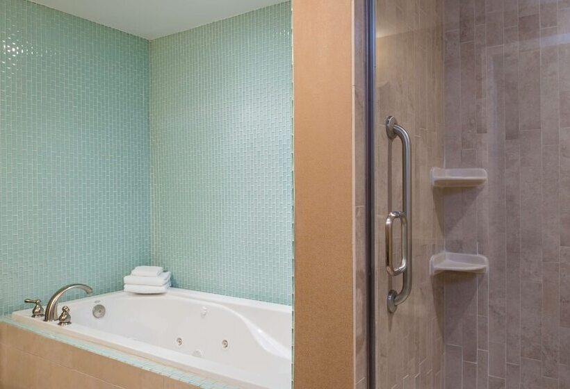 Полулюкс, Doubletree By Hilton Hotel Grand Rapids Airport