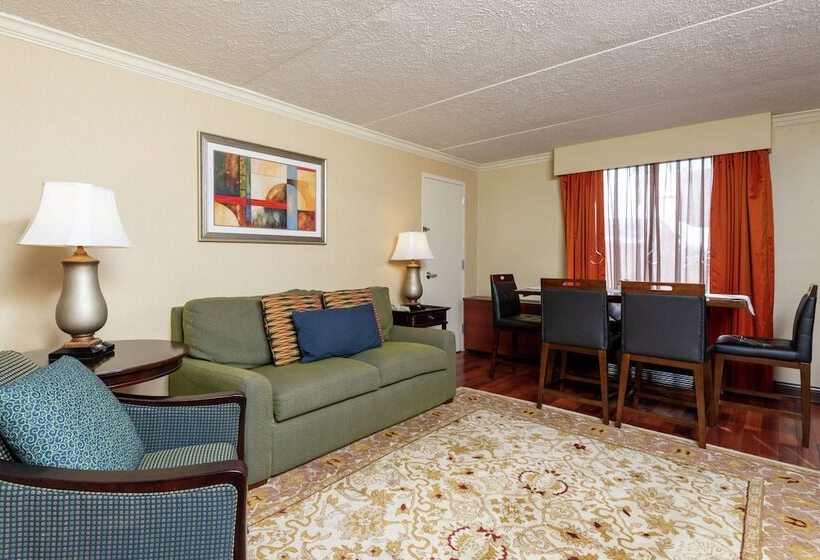 Полулюкс, Doubletree By Hilton Hotel Grand Rapids Airport