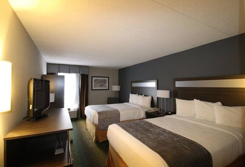 Номер Стандарт 2 Двуспальные Кровати, Best Western O Hare/elk Grove