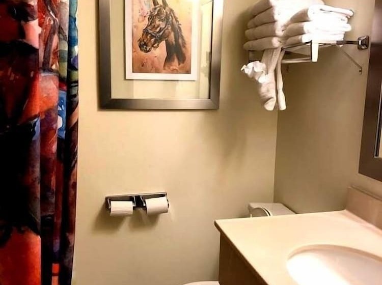 Люкс, Cedar Stables Inn & Suites