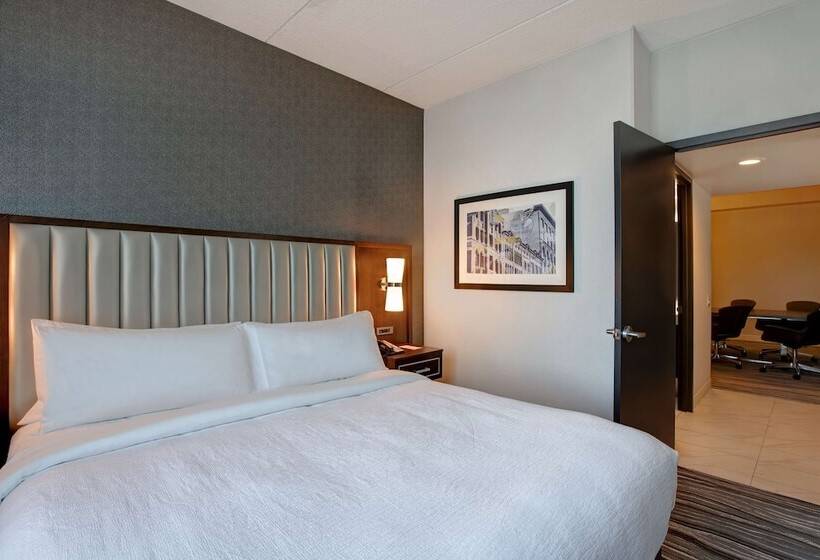 Люкс Премиум, Embassy Suites Syracuse