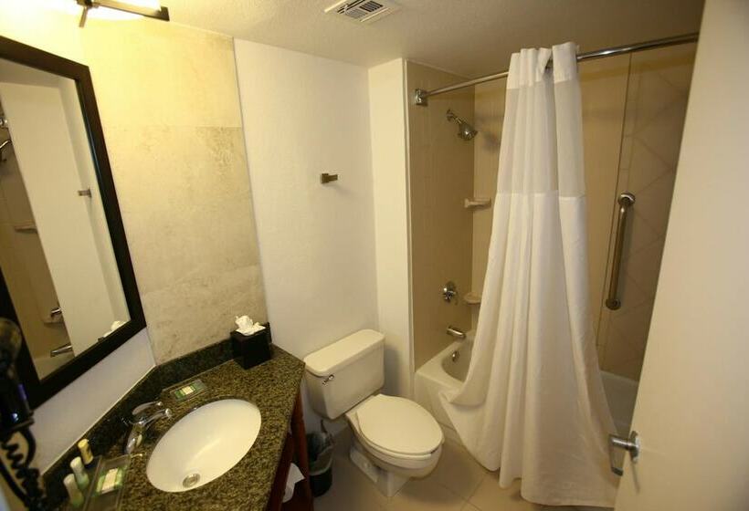 스위트, Greentree Inn & Suites Phoenix Sky Harbor