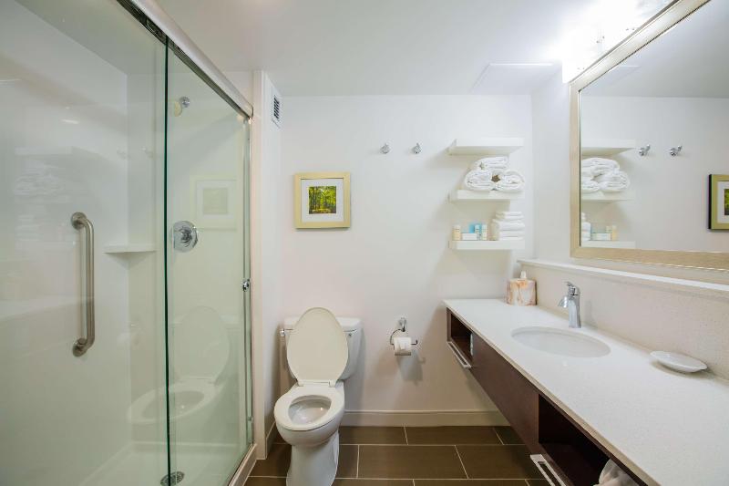 חדר סטנדרט עם מיטת קינג, Hampton Inn Atlantanorthlake
