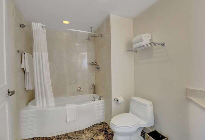 스위트 킹사이즈 침대, Hilton Chicago/oak Brook Suites