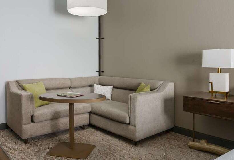 스위트 킹사이즈 침대, Hilton Chicago/oak Brook Suites