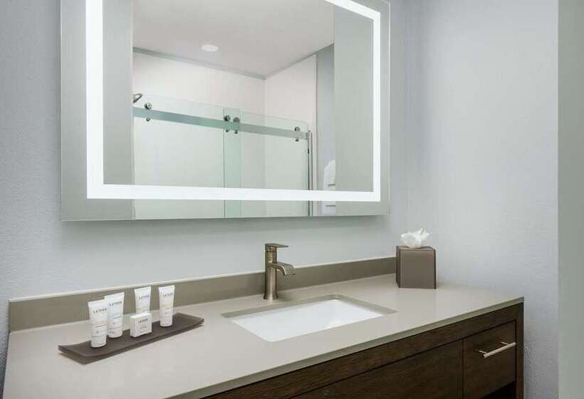 스위트 킹사이즈 침대, Hilton Chicago/oak Brook Suites
