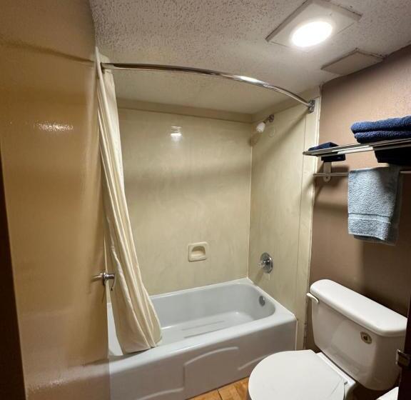 스탠다드 룸 킹사이즈 침대, Lone Star Inn & Suites