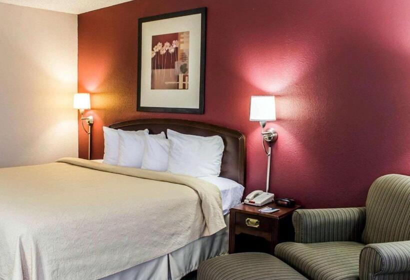 스탠다드 룸 킹사이즈 침대, Quality Inn Roanoke Near Lake Gaston