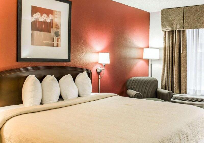 스탠다드 룸 킹사이즈 침대, Quality Inn Roanoke Near Lake Gaston