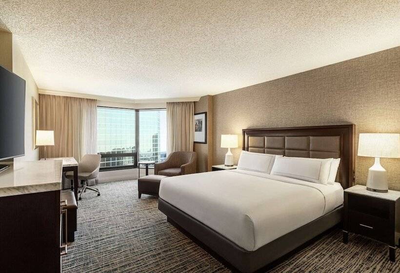 스탠다드 룸 더블 침대, Hilton Tampa Downtown