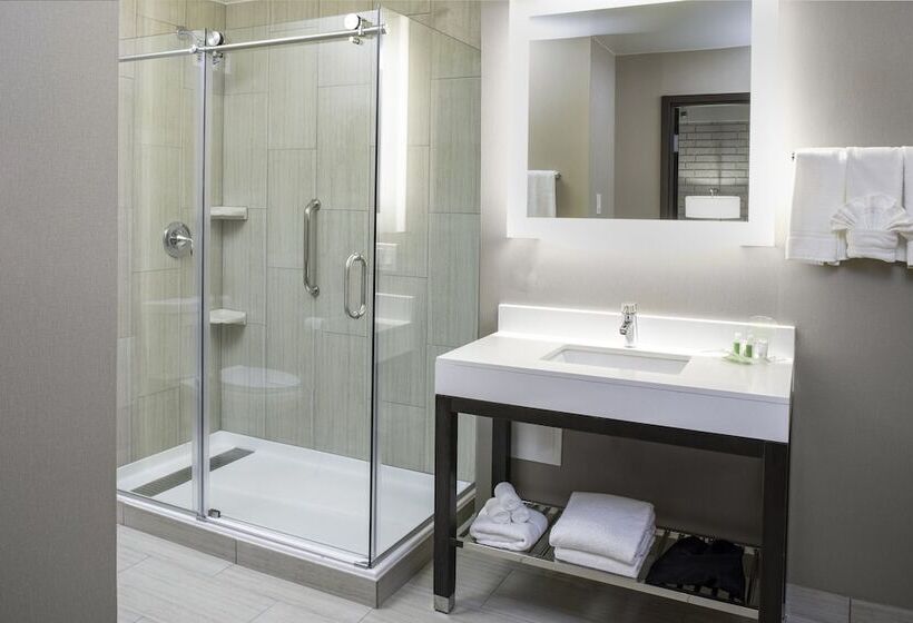 Chambre Standard, Holiday Inn Chicago Sw Countryside Confctr By Ihg