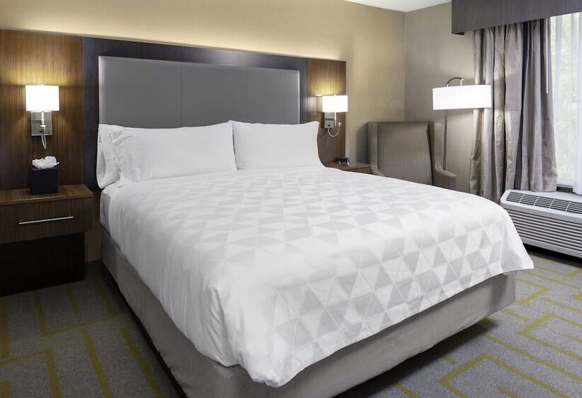 Suite, Holiday Inn Chicago Sw Countryside Confctr By Ihg