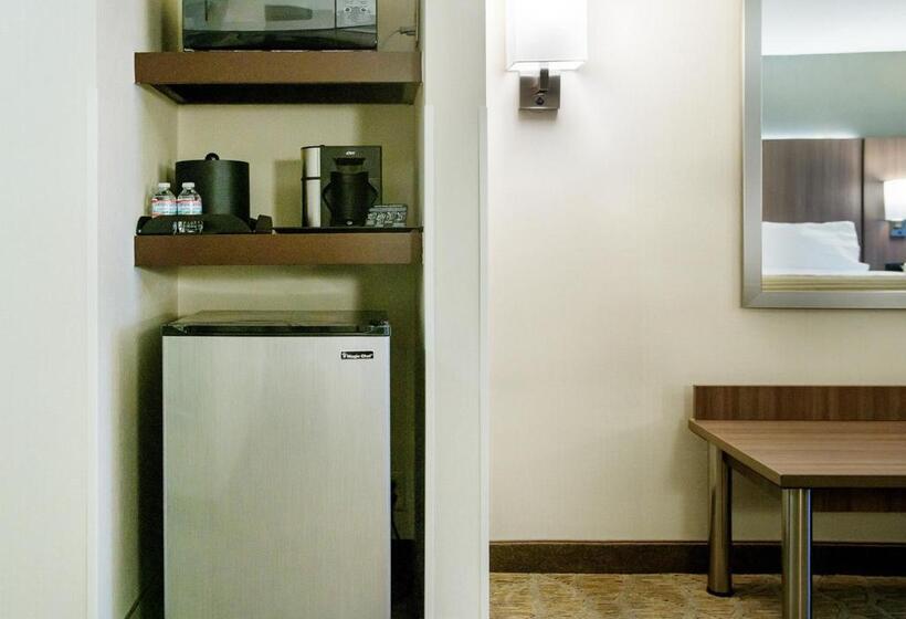 Executive-huone King-vuode, Holiday Inn Nashville Vanderbilt, An Ihg