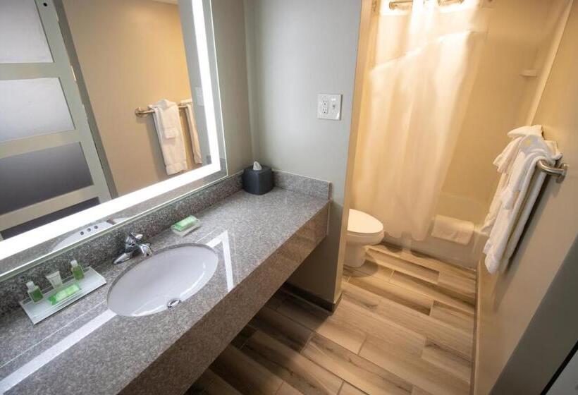 Стандартный Номер Кровать Кинг, Holiday Inn Scranton East   Dunmore, An Ihg