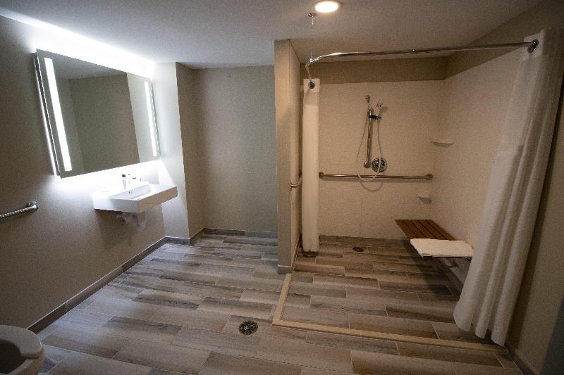 Номер Стандарт Кровать Кинг Адаптированный для Инвалидов, Holiday Inn Scranton East   Dunmore, An Ihg