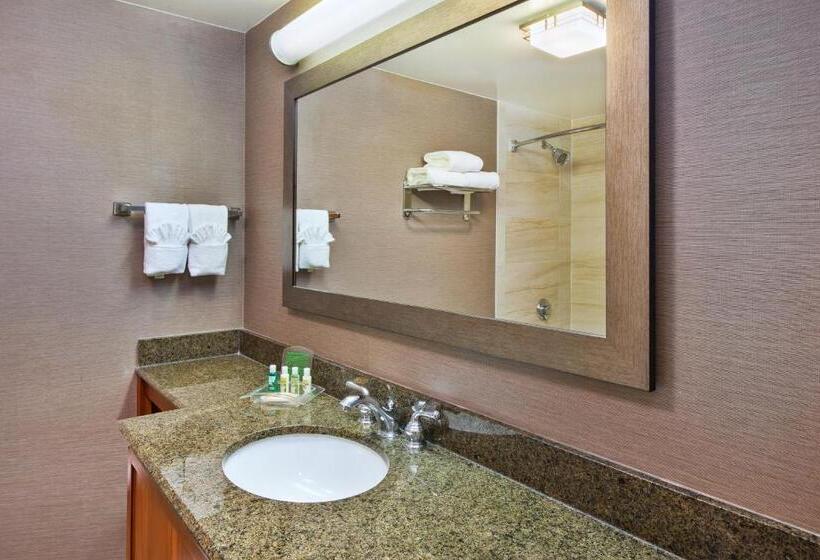 Люкс Кровать Кинг, Holiday Inn Washington Dulles International Airport, An Ihg