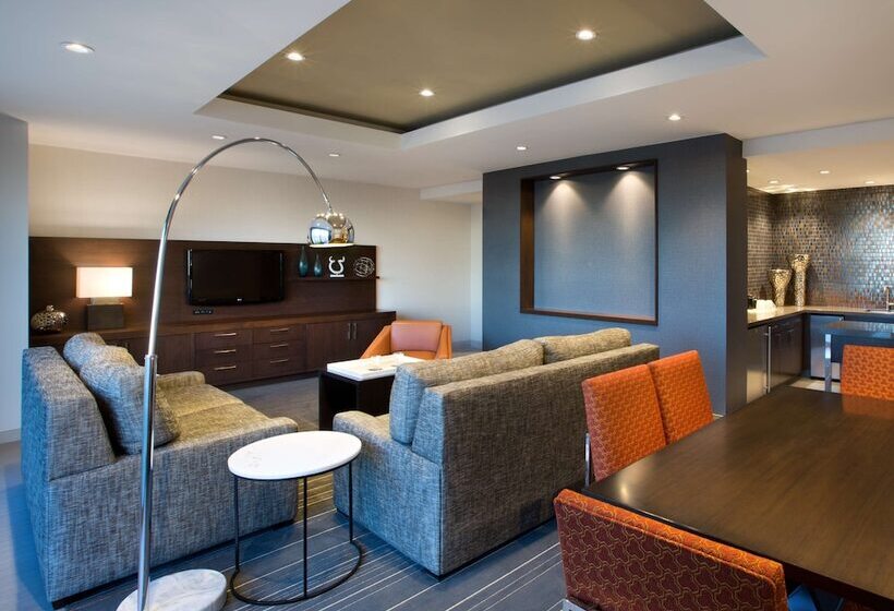 Люкс с Террасой, Hyatt Regency Dallas