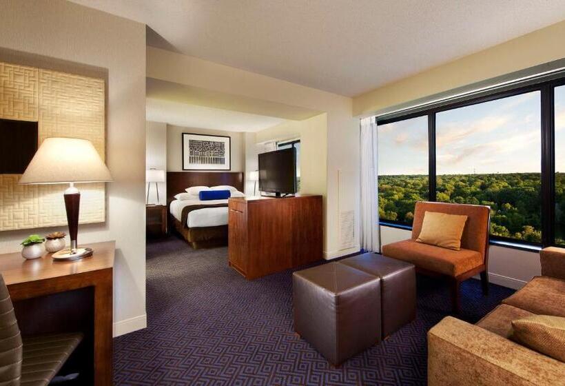 חדר סטנדרט מותאם לאדם עם מוגבלויות, Hyatt Regency Lisle Near Naperville