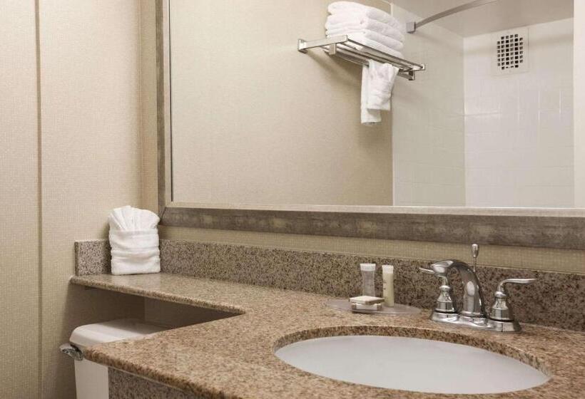 스탠다드 룸, Wyndham Garden Washington Dc North