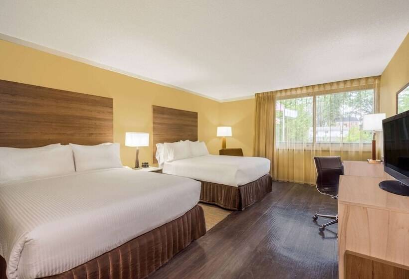 스탠다드 룸, Wyndham Garden Washington Dc North