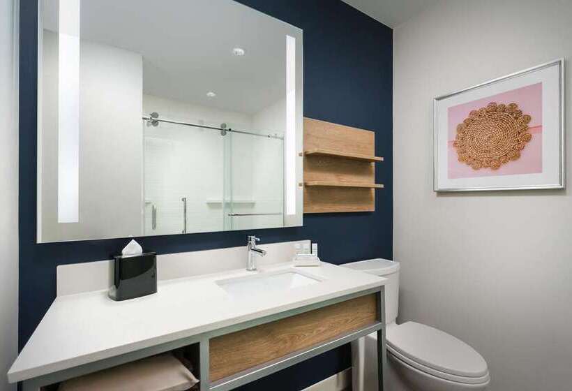 Номер Стандарт, Hilton Garden Inn St. Pete Beach