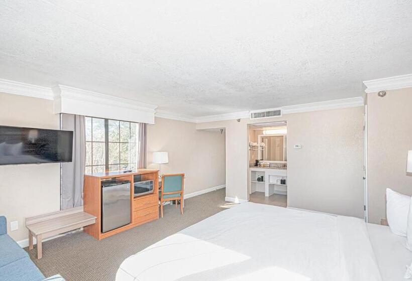 ビジネスルーム, Casa Bella Inn & Suites Extended Stay