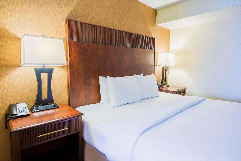 带大床的套房, Doubletree By Hilton Philadelphia Airport