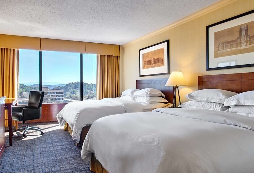 Executive Szoba, Hilton Knoxville