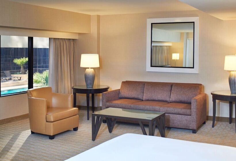 اتاق دلوکس مخصوص معلولین, Hilton Los Angeles Airport