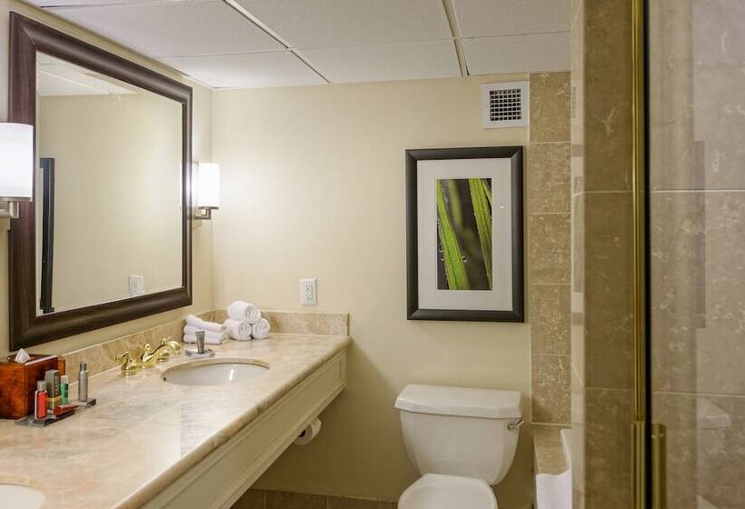 Номер Стандарт 2 Двуспальные Кровати, Houston Marriott West Loop By The Galleria