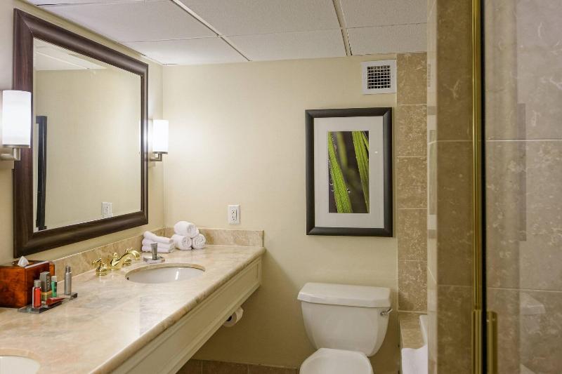 Стандартный Номер Кровать Кинг, Houston Marriott West Loop By The Galleria